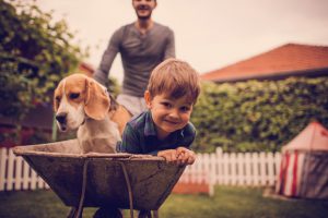 Photo of little smiling boy, his dad and dog having fun outdoors. Dad is driving them in a wheelbarrow.